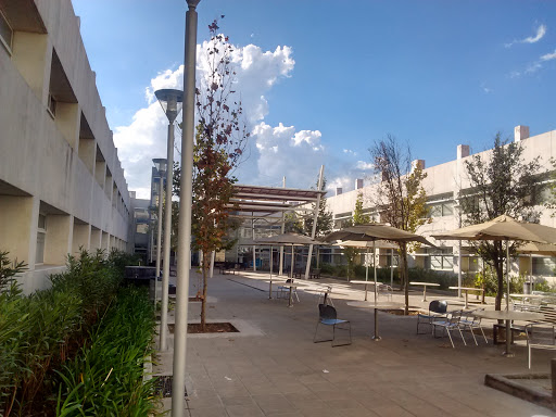 Universidad de Guanajuato, Campus León, Blvd. Puente Milenio No. 1001, Fracción del Predio San Carlos, 37670 León, Gto., México, Universidad pública | GTO