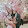 quyên Mai quyên Mai's profile photo