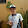 Jadson Roberto Jadson Roberto's profile photo
