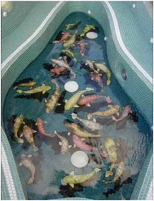 kolam renang unik 3D