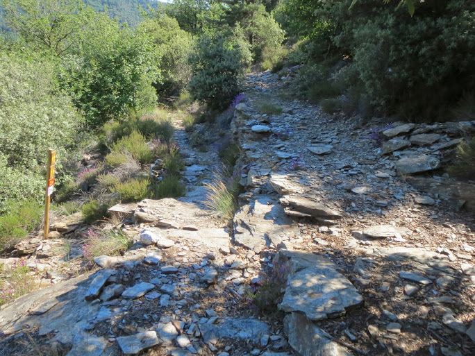 [CR] Dinotrip en mode DUL, grande traversée des Monts d'Ardèche IMG_0436