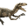 Reckless Velociraptor's user avatar