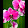 Dev Valvi Dev Valvi's profile photo
