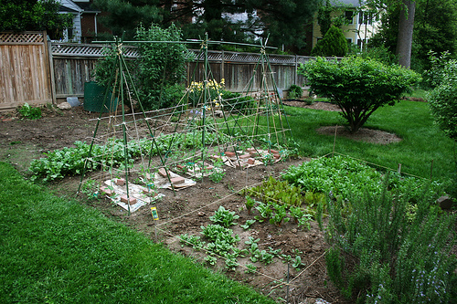 inspire charm vegetable gardens