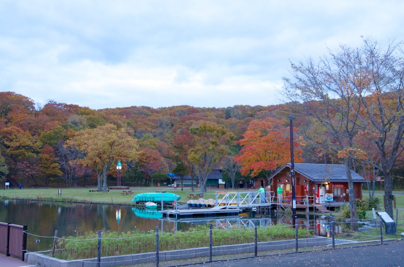 見事な紅葉