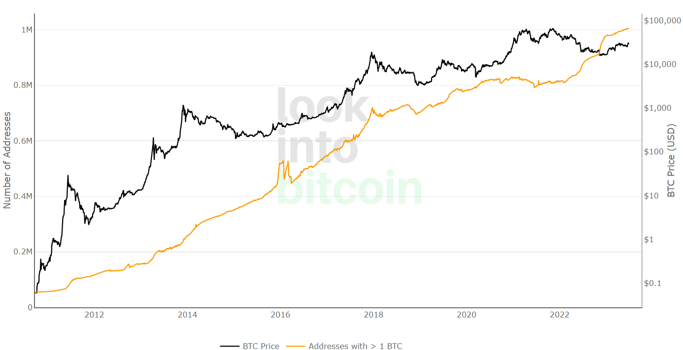 bitcoin wallets with balance more than 1 btc chart
