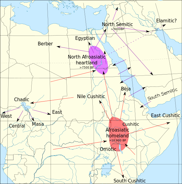 Map showing the popular hypothesis of the expansion of Afroasiatic languages out of Africa