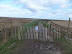 Footpath closed at Cley