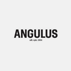 Angulus logo