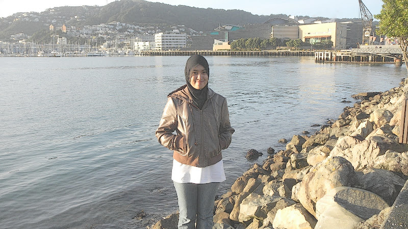 @Wellington Harbour