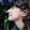Anna Greve Anna Greve's profile photo