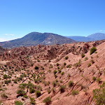Salta sud: El Parque national de los Cardones Salta sud: El Parque national de los Cardones