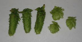 Hops 2