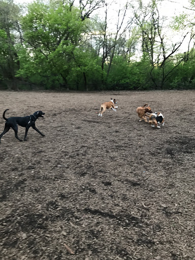 Park «Lake of the Isles Dog Park», reviews and photos, 2845 W Lake of the Isles Pkwy, Minneapolis, MN 55405, USA