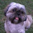 Gail Sharp avatar image