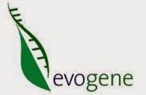 Lca Of Evogene Castor Bean Biodiesel Gives 90 Emissions Saving