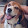 Dirk Baeuerle Dirk Baeuerle's profile photo