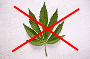 Курение марихуаны – легализованная деградация No_druggs