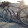 Lucio Gregorini Lucio Gregorini's profile photo