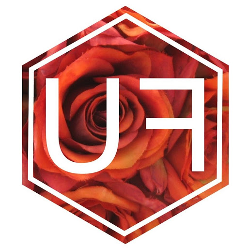 Utopia Feni Creative Studios logo