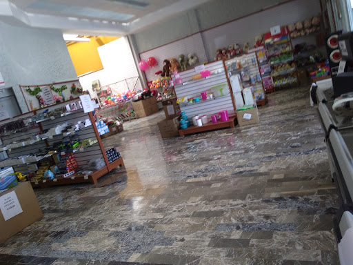 Comercializadora del Juguete y Regalo, Av. Prol. Muñoz 620, Los Reyes, San Luis, San Luis Potosí, México, Tienda de regalos | SLP