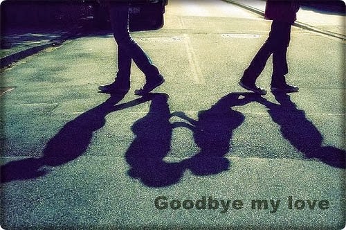 Goodbye my love Goodbye my love