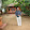 Srinivas Shastri Srinivas Shastri's profile photo