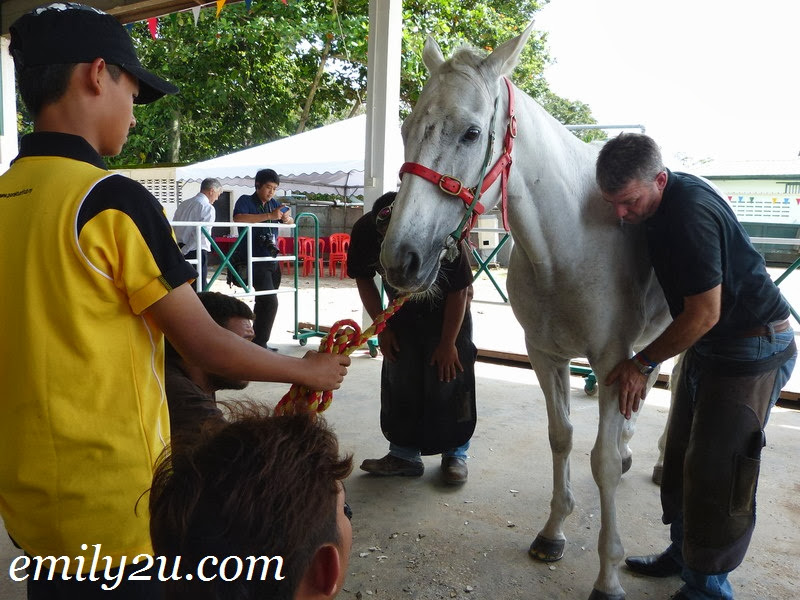 National Horse Show Malaysia