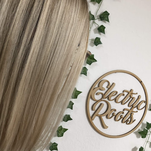 Electric Roots logo