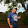 barry deeming barry deeming's profile photo