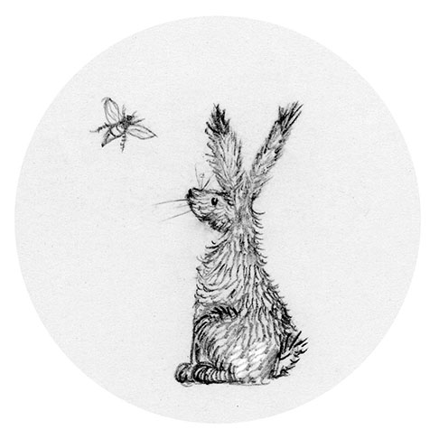 The Honeybee and the Hare logo