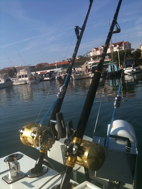 SvenstrupSportfishing: Diva 3 - Kroatien tun - retur