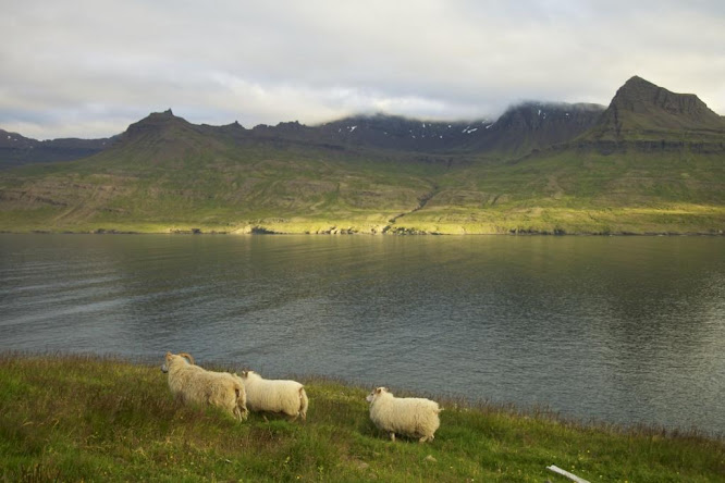 AKURERI-EIDAR (340km) - Islandia. Verano 2010 (4)