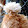 Dimitri Topple Dimitri Topple's profile photo