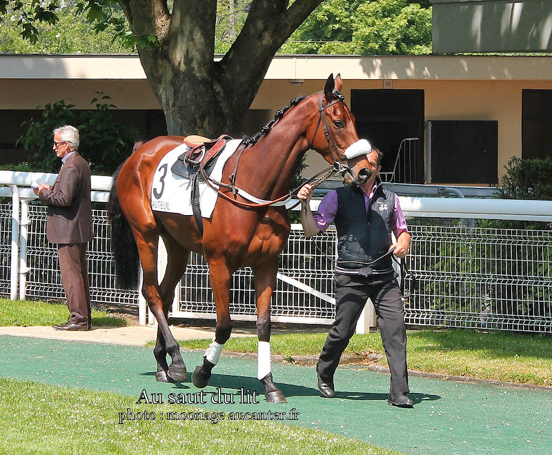 Photos Auteuil le 04-05-2014 IMG_0634