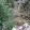 Troy Roaster Troy Roaster's profile photo