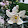 Clarissa Clemens Clarissa Clemens's profile photo