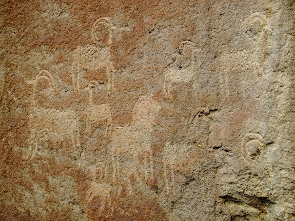 Sheep petroglyphs