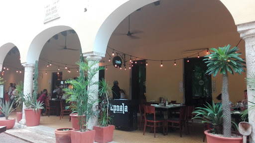 Apoala Mexican Cuisine