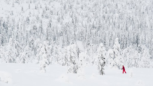 Cross Country Skiing, Finland.jpg