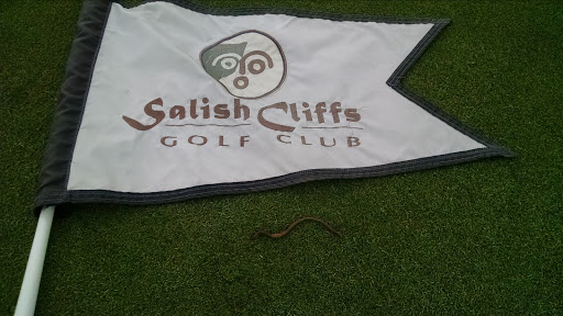 Golf Club «Salish Cliffs Golf Club», reviews and photos, 91 WA-108, Shelton, WA 98584, USA