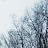 Seth Neak avatar image