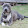Tiger Lowe Tiger Lowe's profile photo