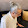 Atif Sajjad Atif Sajjad's profile photo