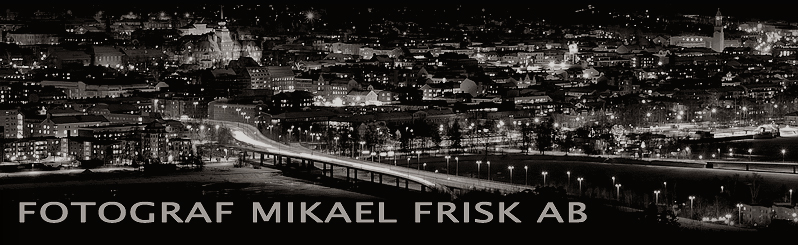 Fotograf Mikael Frisk