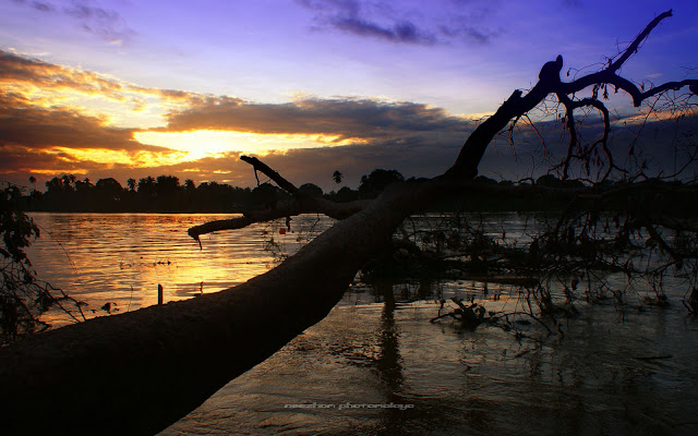 Gambar-Batang-Melayu Gambar Batang Besar http://www.pic2fly.com/Gambar+Batang+Besar.html