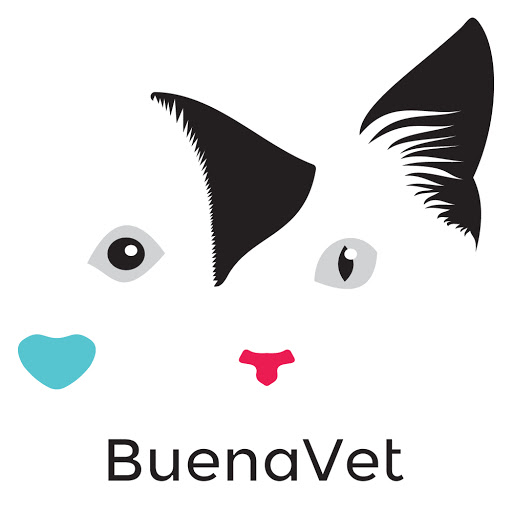 Buena Vet logo