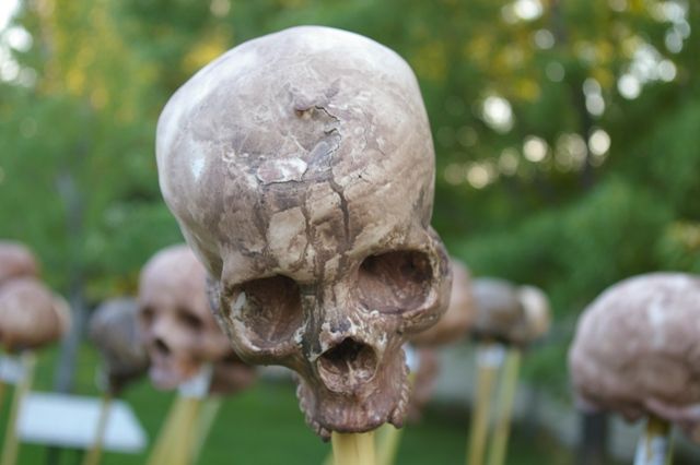 Latex Bones Skull Mold