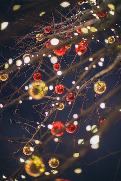 OUTDOOR LIGHTS FOR CHRISTMAS DECOR