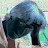 John H avatar image
